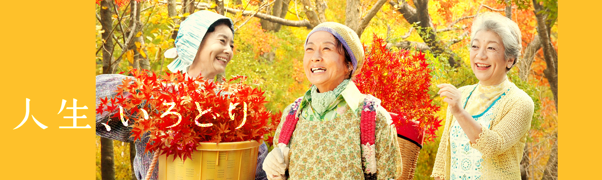 人生、いろどり