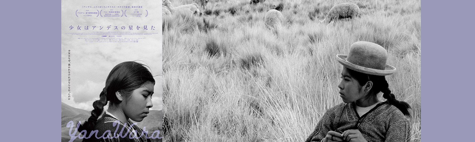 少女はアンデスの星を見た