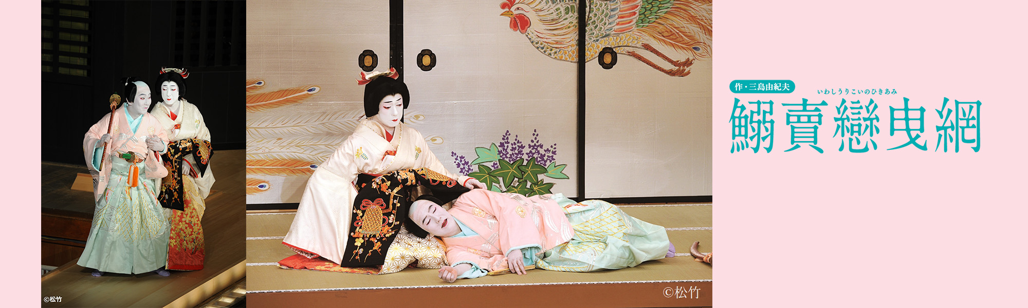 《シネマ歌舞伎》 鰯賣戀曳綱(いわしうりこいのひきあみ)