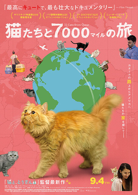 猫たちと7000マイルの旅